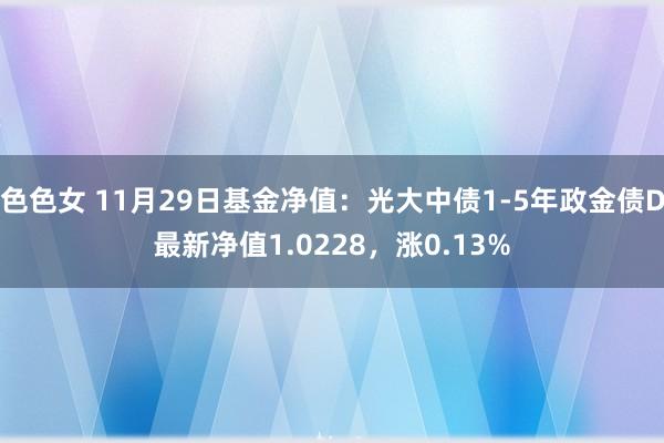 色色女 11月29日基金净值：光大中债1-5年政金债D最新净值1.0228，涨0.13%