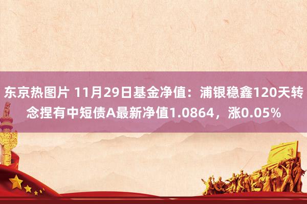 东京热图片 11月29日基金净值：浦银稳鑫120天转念捏有中短债A最新净值1.0864，涨0.05%