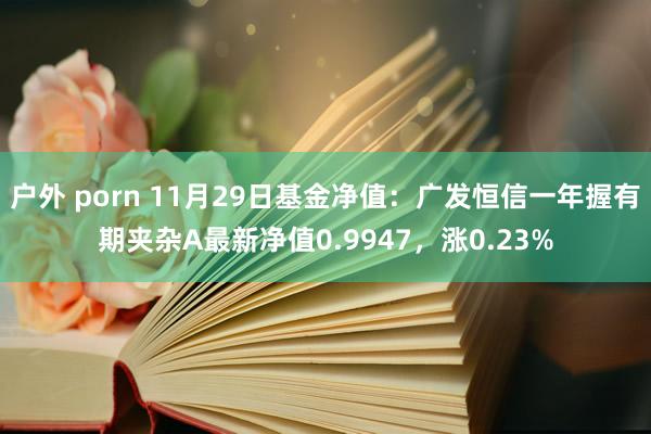 户外 porn 11月29日基金净值：广发恒信一年握有期夹杂A最新净值0.9947，涨0.23%