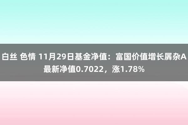 白丝 色情 11月29日基金净值：富国价值增长羼杂A最新净值0.7022，涨1.78%