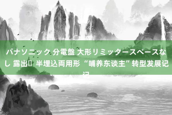 パナソニック 分電盤 大形リミッタースペースなし 露出・半埋込両用形 “哺养东谈主”转型发展记