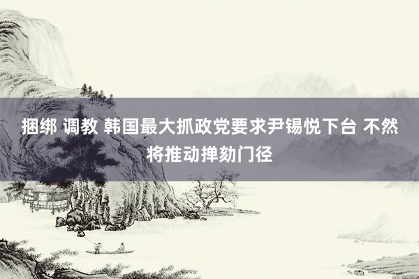 捆绑 调教 韩国最大抓政党要求尹锡悦下台 不然将推动掸劾门径