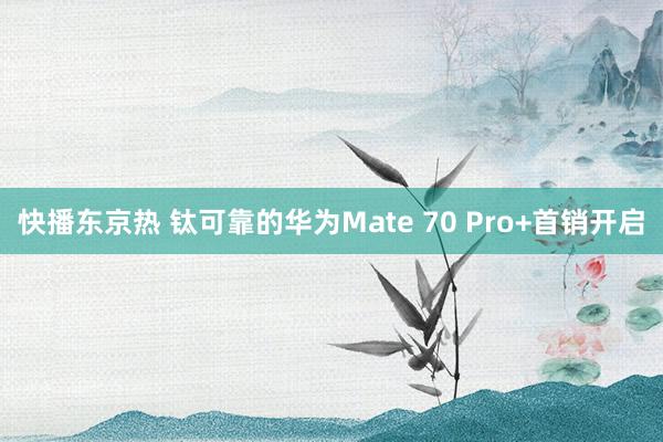 快播东京热 钛可靠的华为Mate 70 Pro+首销开启