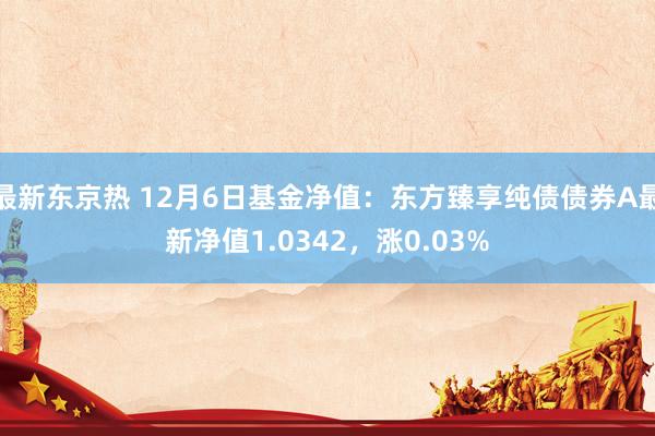 最新东京热 12月6日基金净值：东方臻享纯债债券A最新净值1.0342，涨0.03%