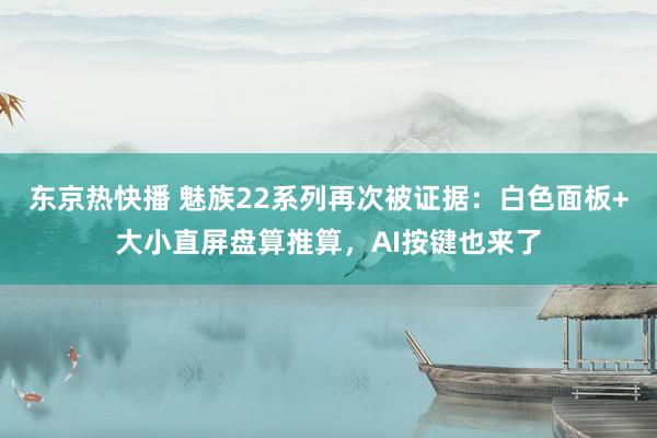 东京热快播 魅族22系列再次被证据：白色面板+大小直屏盘算推算，AI按键也来了