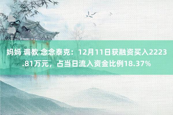 妈妈 调教 念念泰克：12月11日获融资买入2223.81万元，占当日流入资金比例18.37%