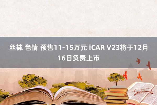 丝袜 色情 预售11-15万元 iCAR V23将于12月16日负责上市