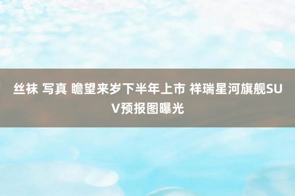 丝袜 写真 瞻望来岁下半年上市 祥瑞星河旗舰SUV预报图曝光