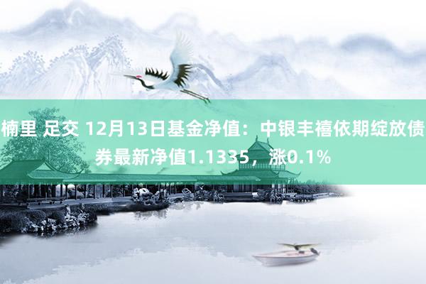 楠里 足交 12月13日基金净值：中银丰禧依期绽放债券最新净值1.1335，涨0.1%