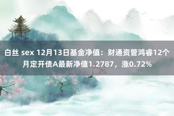 白丝 sex 12月13日基金净值：财通资管鸿睿12个月定开债A最新净值1.2787，涨0.72%