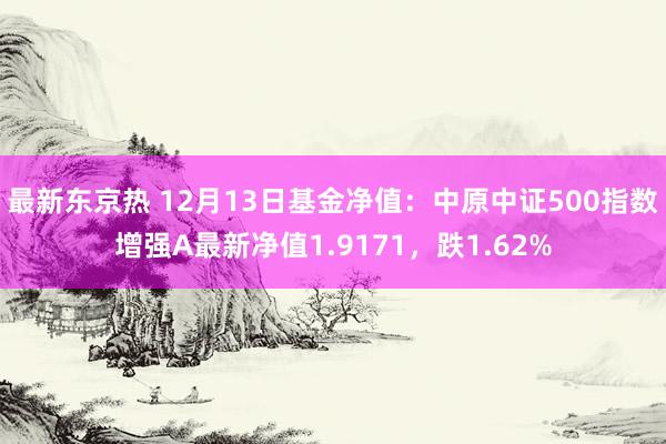 最新东京热 12月13日基金净值：中原中证500指数增强A最新净值1.9171，跌1.62%