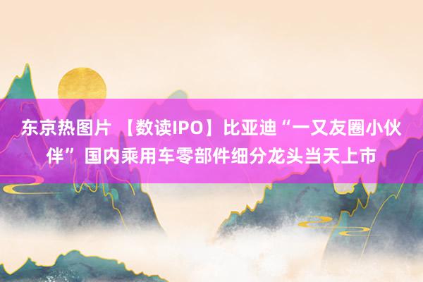 东京热图片 【数读IPO】比亚迪“一又友圈小伙伴” 国内乘用车零部件细分龙头当天上市