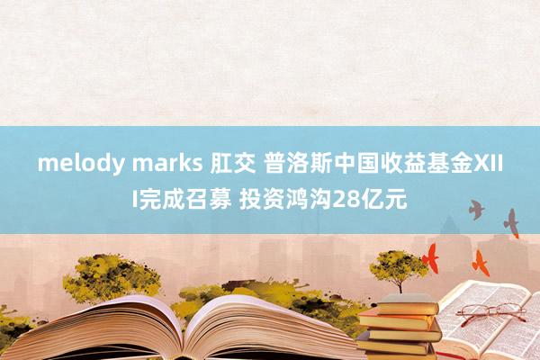 melody marks 肛交 普洛斯中国收益基金XIII完成召募 投资鸿沟28亿元