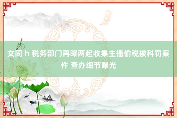 女同 h 税务部门再曝两起收集主播偷税被科罚案件 查办细节曝光