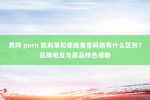 男同 porn 凯利莱和德施曼密码锁有什么区别？品牌相反与居品特色领略