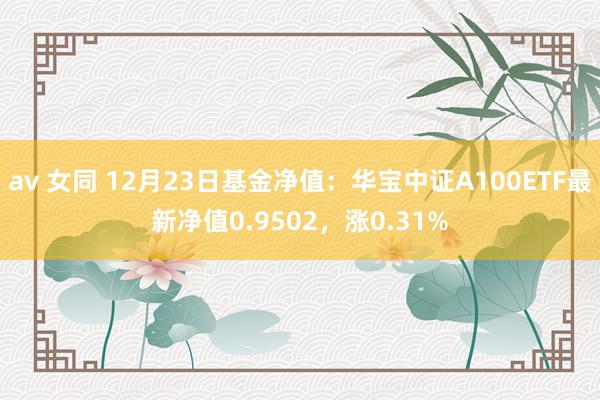 av 女同 12月23日基金净值：华宝中证A100ETF最新净值0.9502，涨0.31%