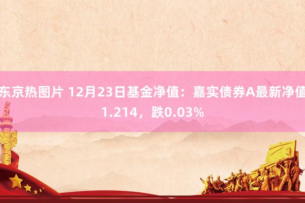 东京热图片 12月23日基金净值：嘉实债券A最新净值1.214，跌0.03%