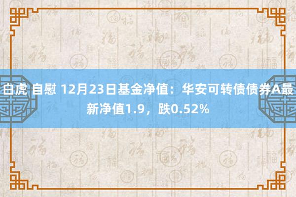 白虎 自慰 12月23日基金净值：华安可转债债券A最新净值1.9，跌0.52%