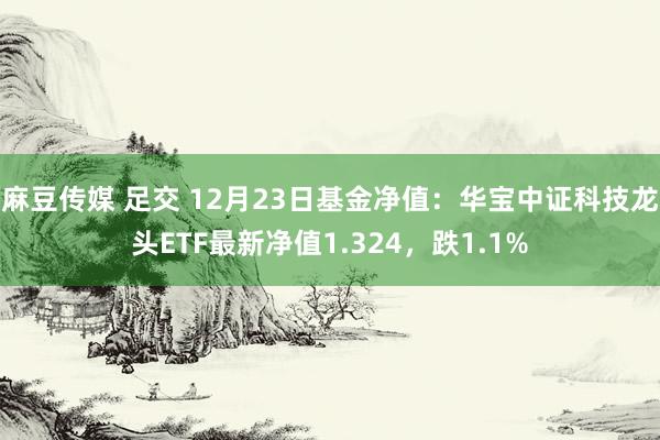 麻豆传媒 足交 12月23日基金净值：华宝中证科技龙头ETF最新净值1.324，跌1.1%