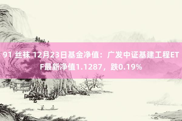 91 丝袜 12月23日基金净值：广发中证基建工程ETF最新净值1.1287，跌0.19%