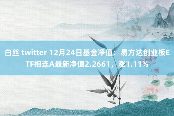 白丝 twitter 12月24日基金净值：易方达创业板ETF相连A最新净值2.2661，涨1.11%