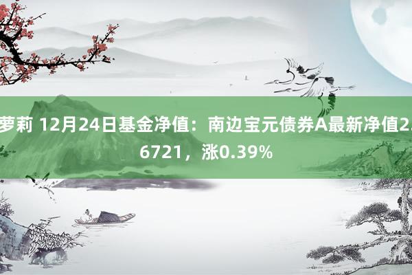 萝莉 12月24日基金净值：南边宝元债券A最新净值2.6721，涨0.39%