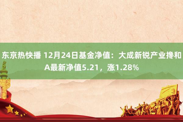 东京热快播 12月24日基金净值：大成新锐产业搀和A最新净值5.21，涨1.28%