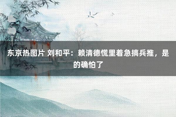 东京热图片 刘和平：赖清德慌里着急搞兵推，是的确怕了