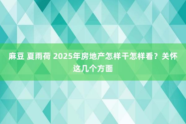 麻豆 夏雨荷 2025年房地产怎样干怎样看？关怀这几个方面