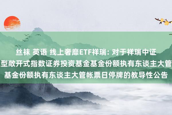 丝袜 英语 线上奢靡ETF祥瑞: 对于祥瑞中证沪港深线上奢靡主题交往型敞开式指数证券投资基金基金份额执有东谈主大管帐票日停牌的教导性公告