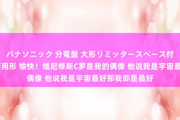 パナソニック 分電盤 大形リミッタースペース付 露出・半埋込両用形 愉快！维尼修斯C罗是我的偶像 他说我是宇宙最好那我即是最好