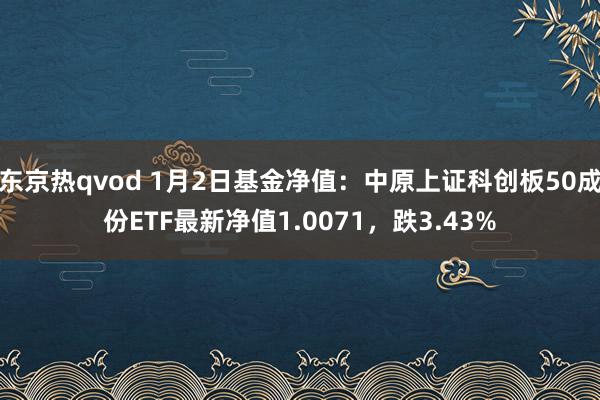 东京热qvod 1月2日基金净值：中原上证科创板50成份ETF最新净值1.0071，跌3.43%