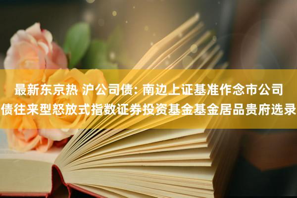 最新东京热 沪公司债: 南边上证基准作念市公司债往来型怒放式指数证券投资基金基金居品贵府选录