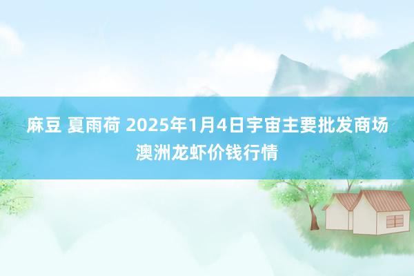 麻豆 夏雨荷 2025年1月4日宇宙主要批发商场澳洲龙虾价钱行情