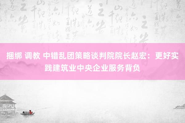 捆绑 调教 中错乱团策略谈判院院长赵宏：更好实践建筑业中央企业服务背负