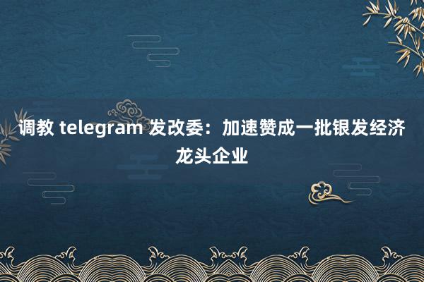 调教 telegram 发改委：加速赞成一批银发经济龙头企业