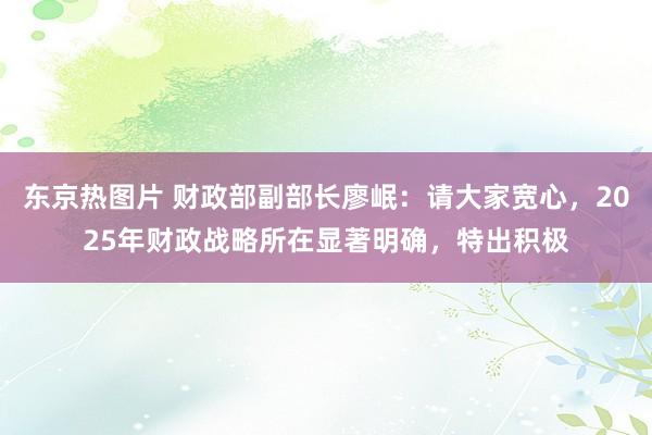 东京热图片 财政部副部长廖岷：请大家宽心，2025年财政战略所在显著明确，特出积极