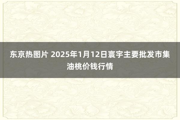 东京热图片 2025年1月12日寰宇主要批发市集油桃价钱行情