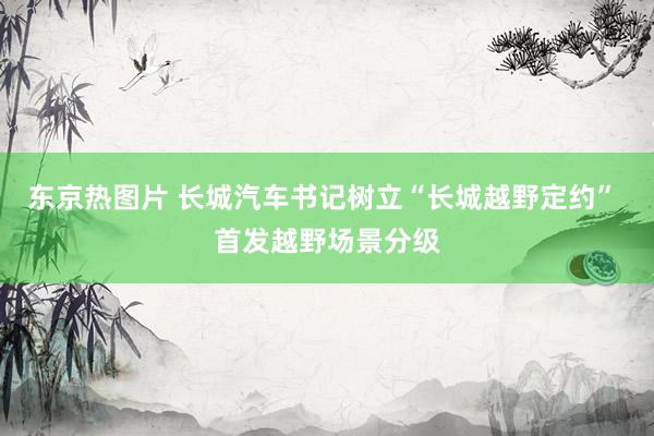 东京热图片 长城汽车书记树立“长城越野定约” 首发越野场景分级