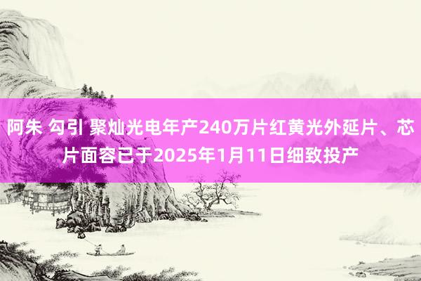 阿朱 勾引 聚灿光电年产240万片红黄光外延片、芯片面容已于2025年1月11日细致投产