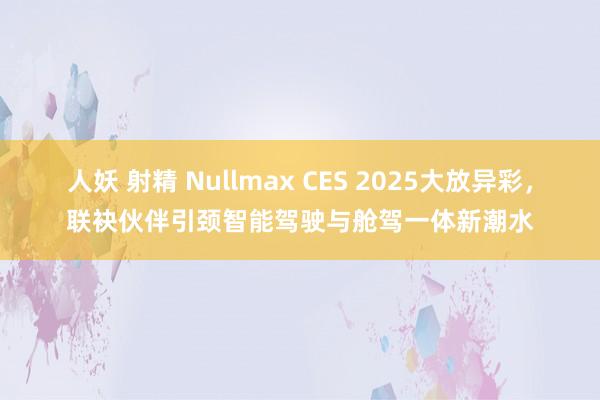 人妖 射精 Nullmax CES 2025大放异彩，联袂伙伴引颈智能驾驶与舱驾一体新潮水