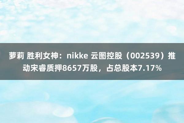 萝莉 胜利女神：nikke 云图控股（002539）推动宋睿质押8657万股，占总股本7.17%